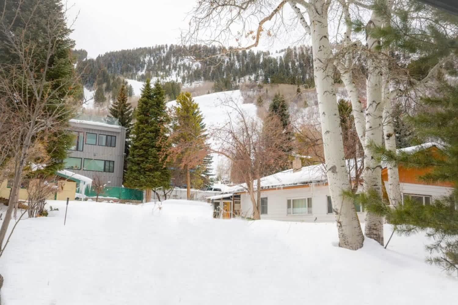 Comfort & Location - 2 Bedroom 2ba - Steps To Town * Aspen